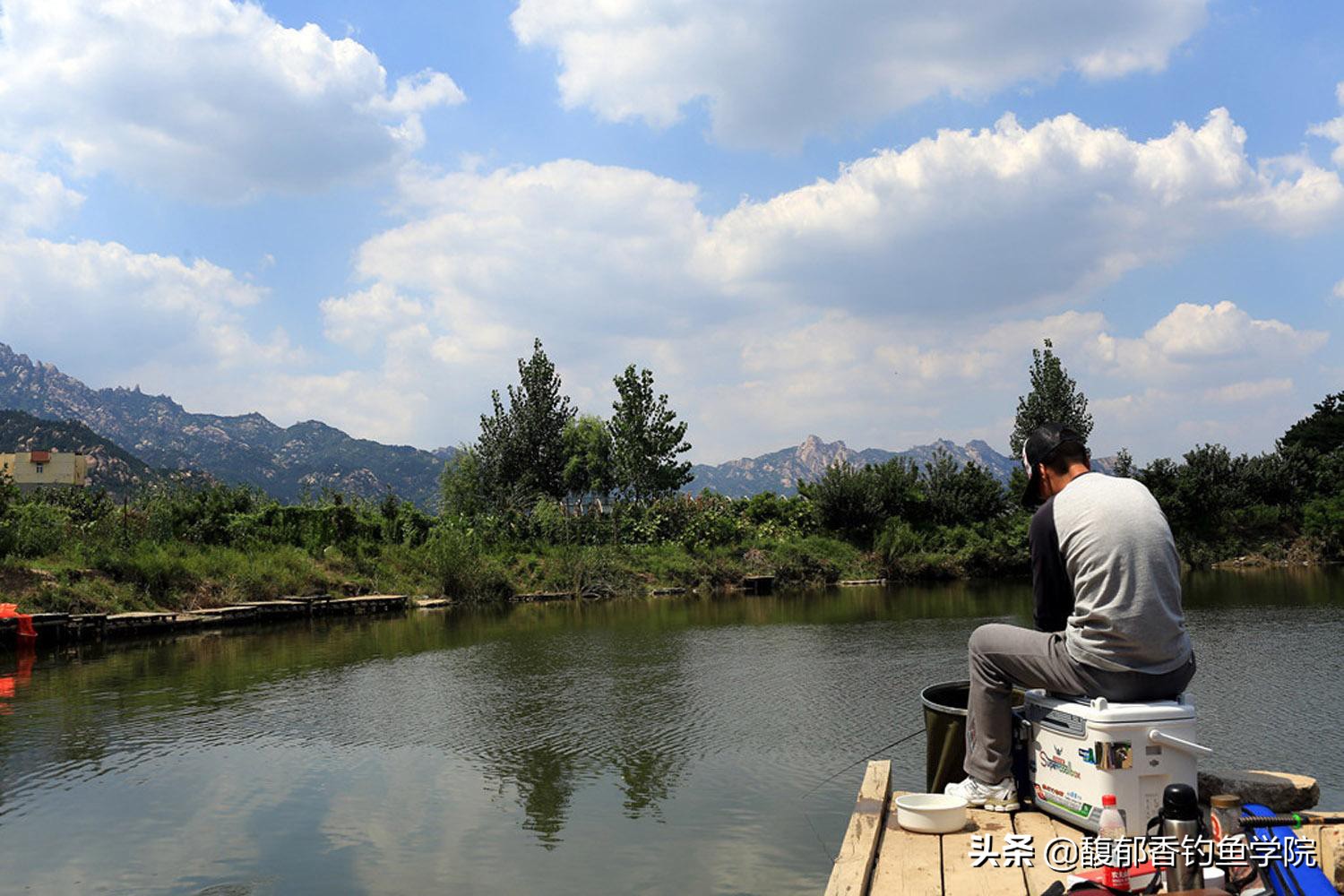 各类钓鱼小药的使用方法及效果,钓鱼小药常识确保正确使用