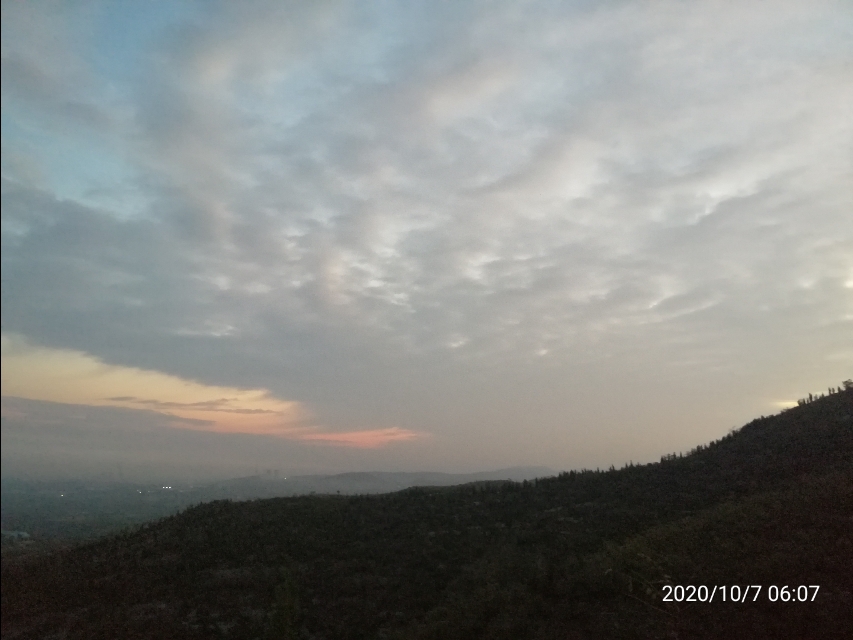 怒放的生命完整版,怒放的生命歌词完整版