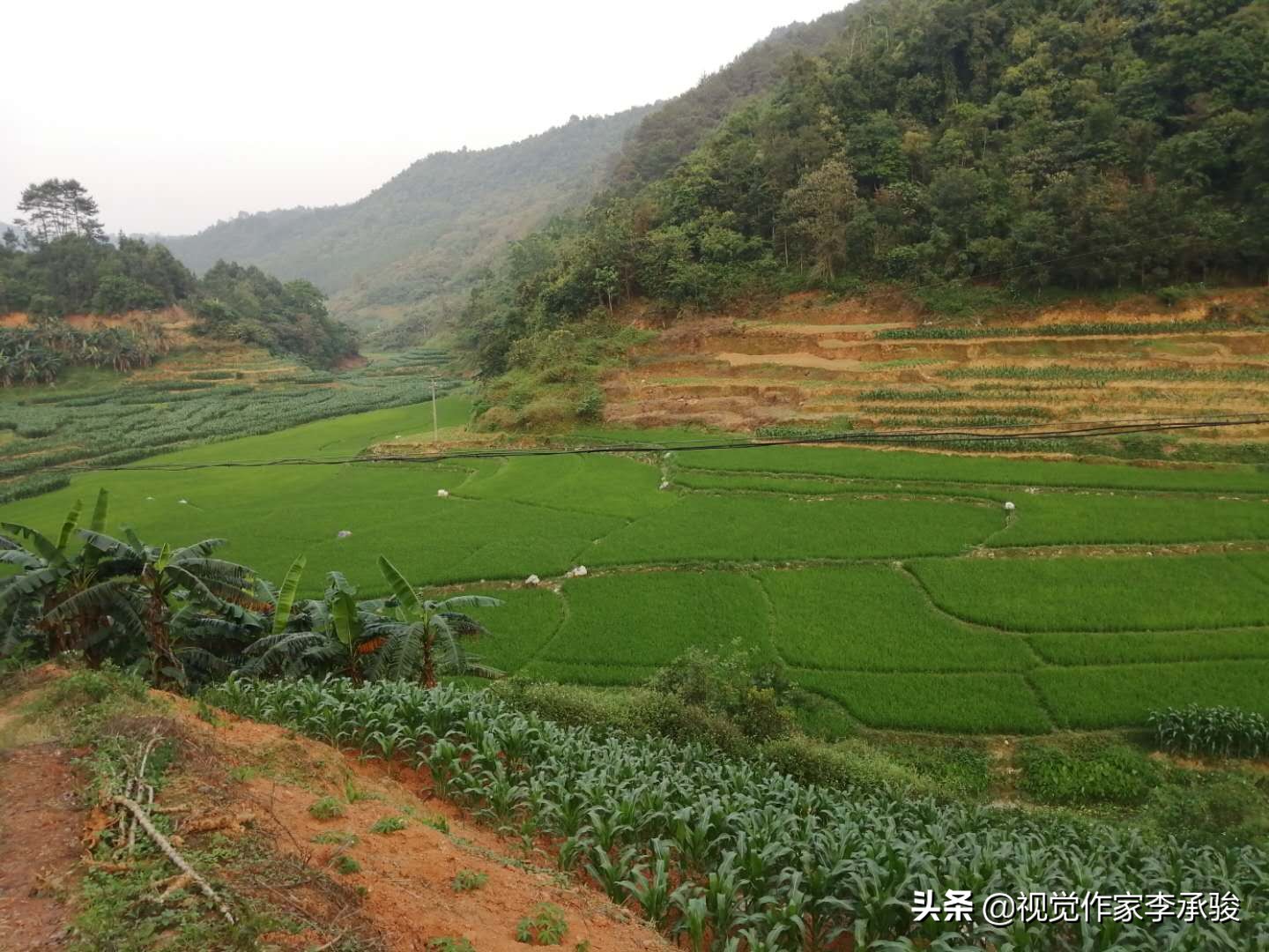 哦，德保县荣华乡乐屯，我土土的故乡和土土的家乡人，春天好！