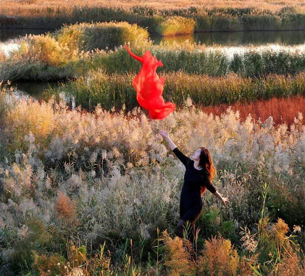 盘锦情书完整版,盘锦情书最新版