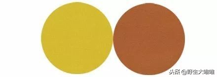 春天穿这些颜色真是美爆了,冬天穿这些颜色真的太美了