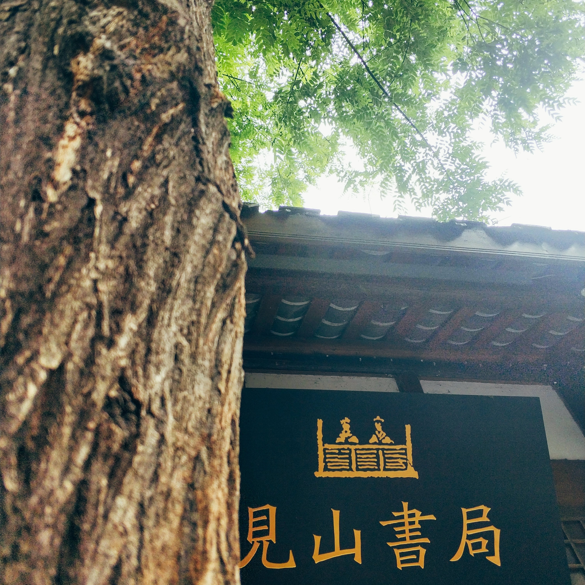 川藏线骑行从成都还是拉萨开始,318川藏线成都到拉萨骑行赛