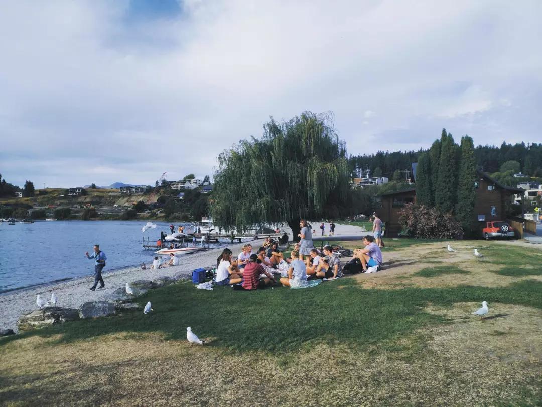 新西兰南太平洋明珠,新西兰太平洋的明珠