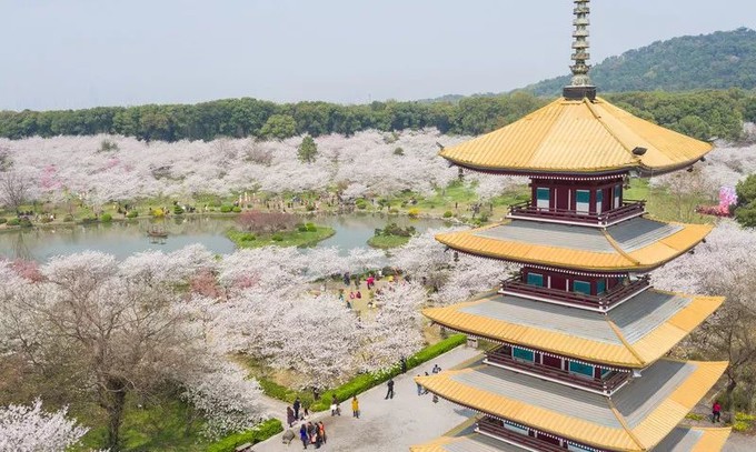 走起一起寻找武汉美食攻略,武汉美食寻味