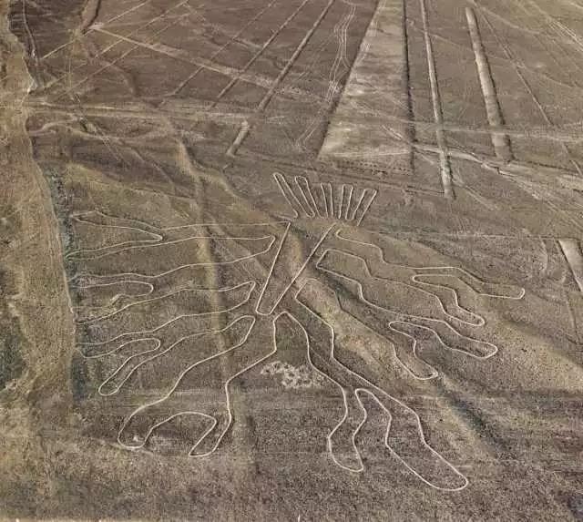 长相像外国人的汉族人,长相酷似中国人的印第安人