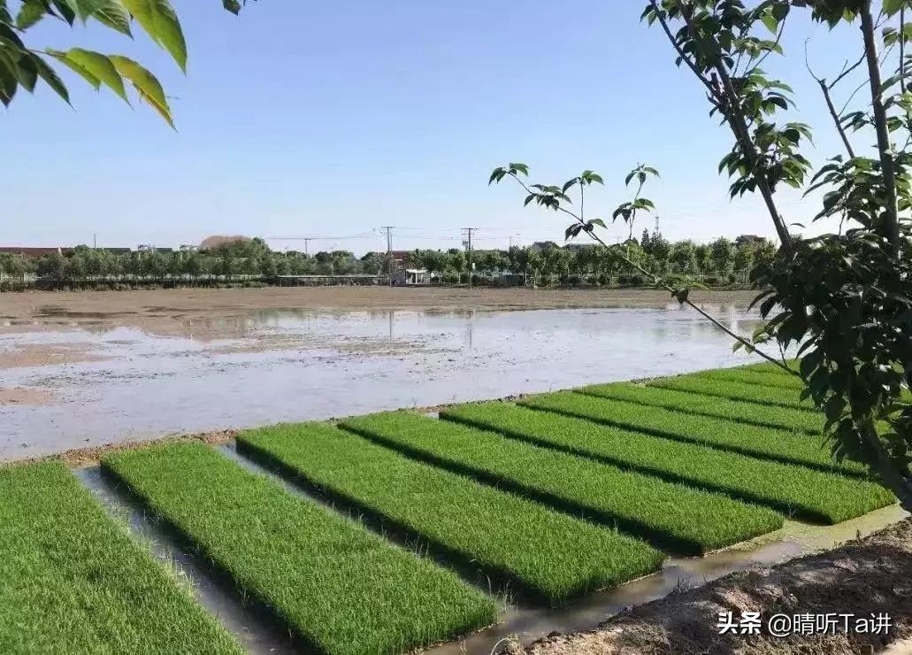 疫情过后口罩还会卖吗,疫情期间卖口罩