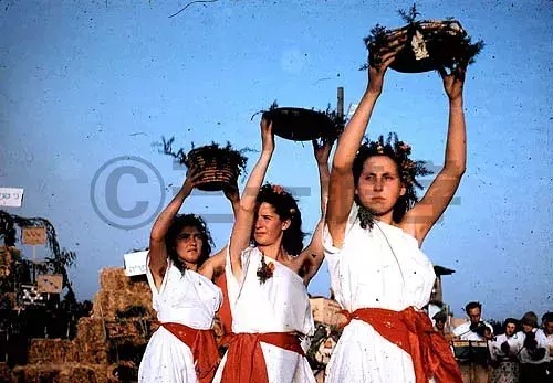 折骨、假哭、喝牛血？没想到你是这样的感恩节