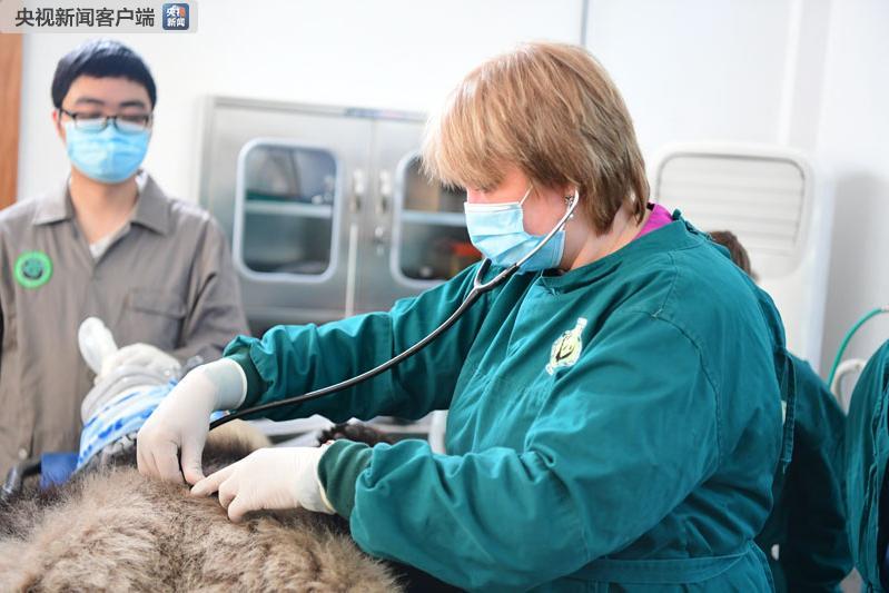 时政新闻眼｜习*平近**访俄首日，这些亮点点亮中俄关系新时代