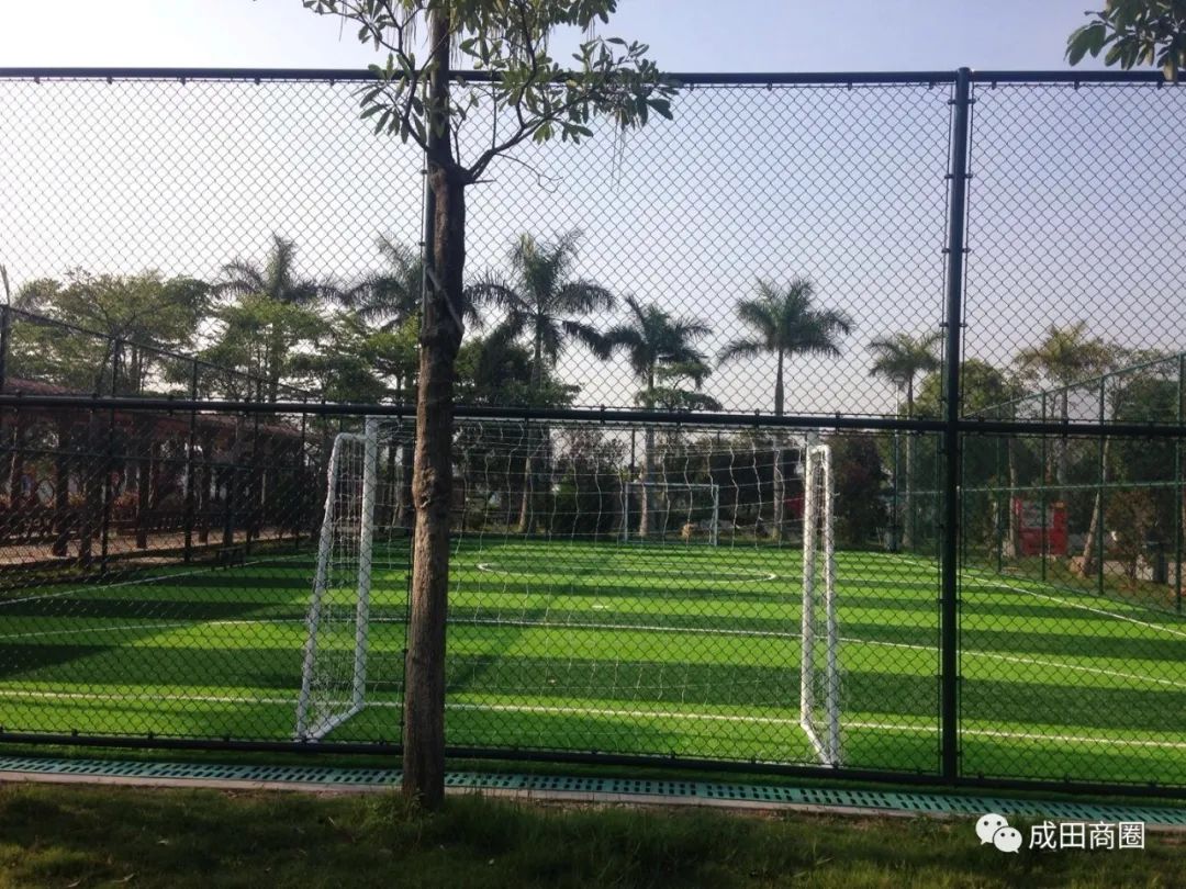 成田文化体育公园,成田镇体育馆