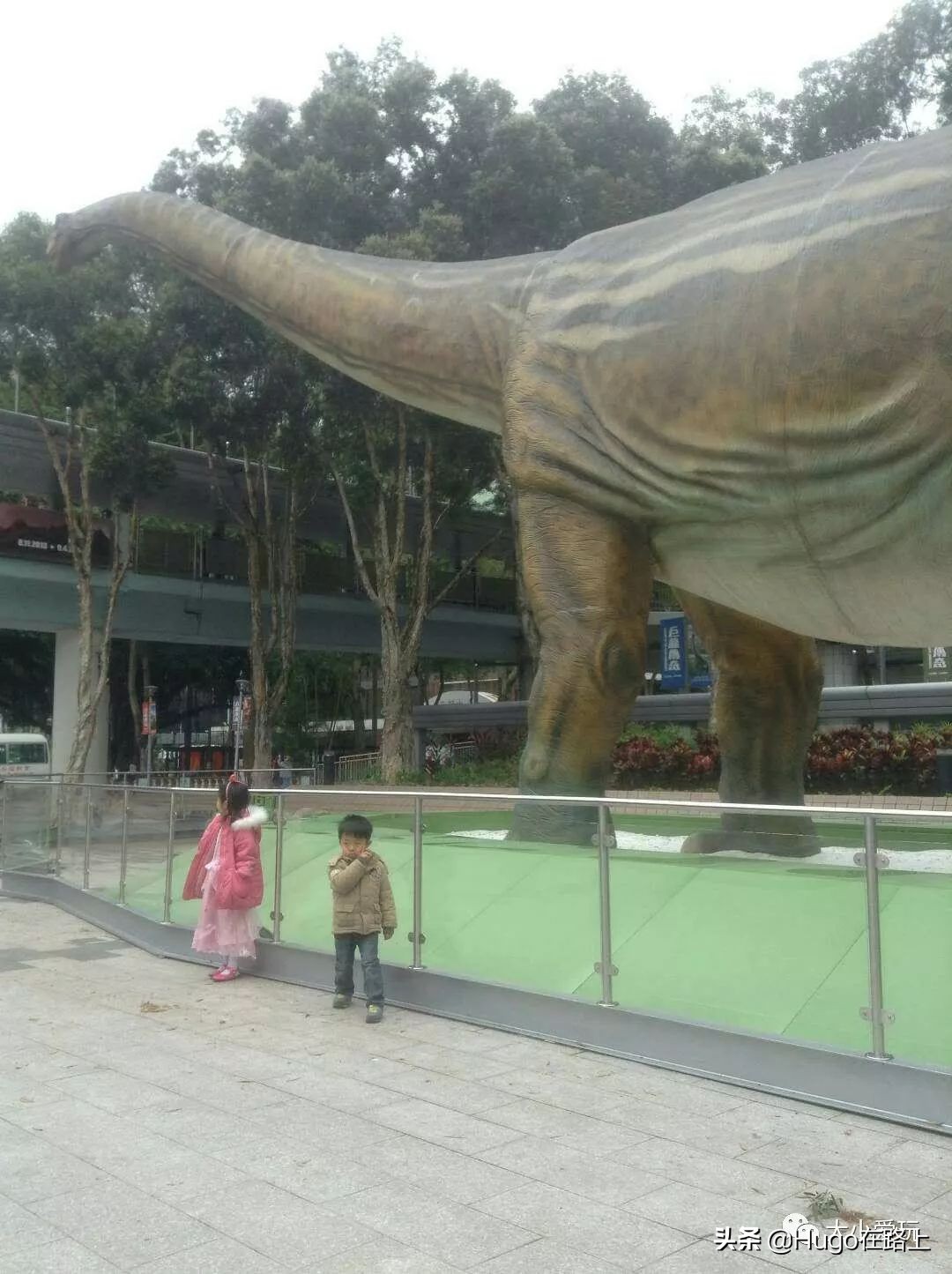 去香港亲子旅行攻略路线图片,香港亲子游最佳路线图