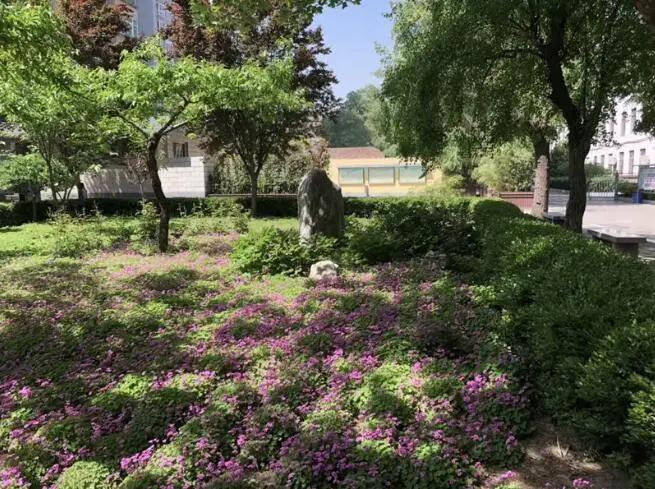 关于展现师生努力上进的校园文化,西安市六十七中学怎么样