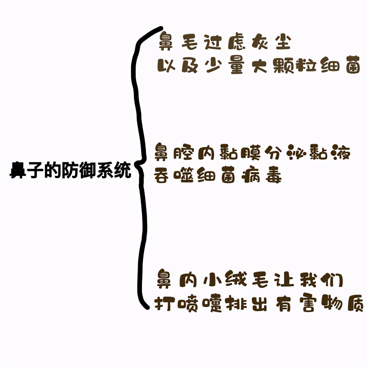 男性鼻毛长出来意味着什么,男士鼻毛窜出来鼻毛旺盛说明什么