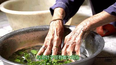 50岁阿姨自制抗衰老面膜,105岁奶奶特制面膜