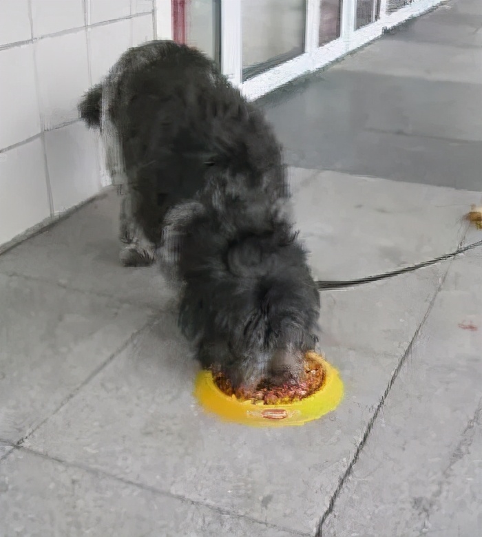 最经典的户外广告,户外最新广告创意