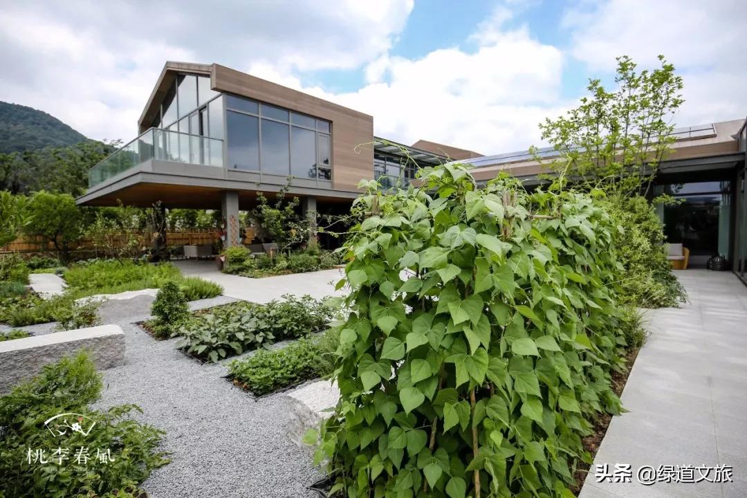 桃李春风小镇,桃李春风小镇发展前景