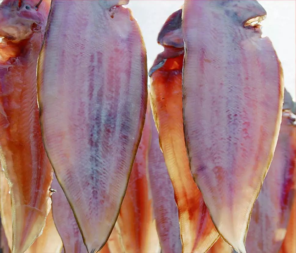 海鲜加工青岛什么鱼清蒸好吃,晒干日照海鲜正宗做法