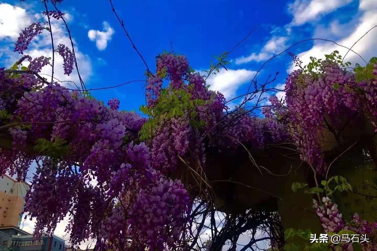 做生意并不是一味去讨好别人,一味讨好别人不叫情商高的表现