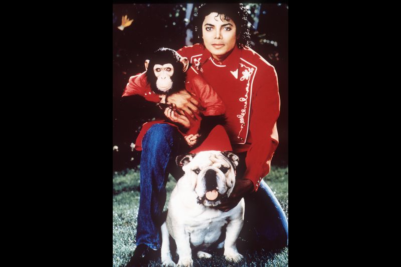 音乐之神迈克尔杰克逊,迈克尔杰克逊动感摇滚英文歌曲