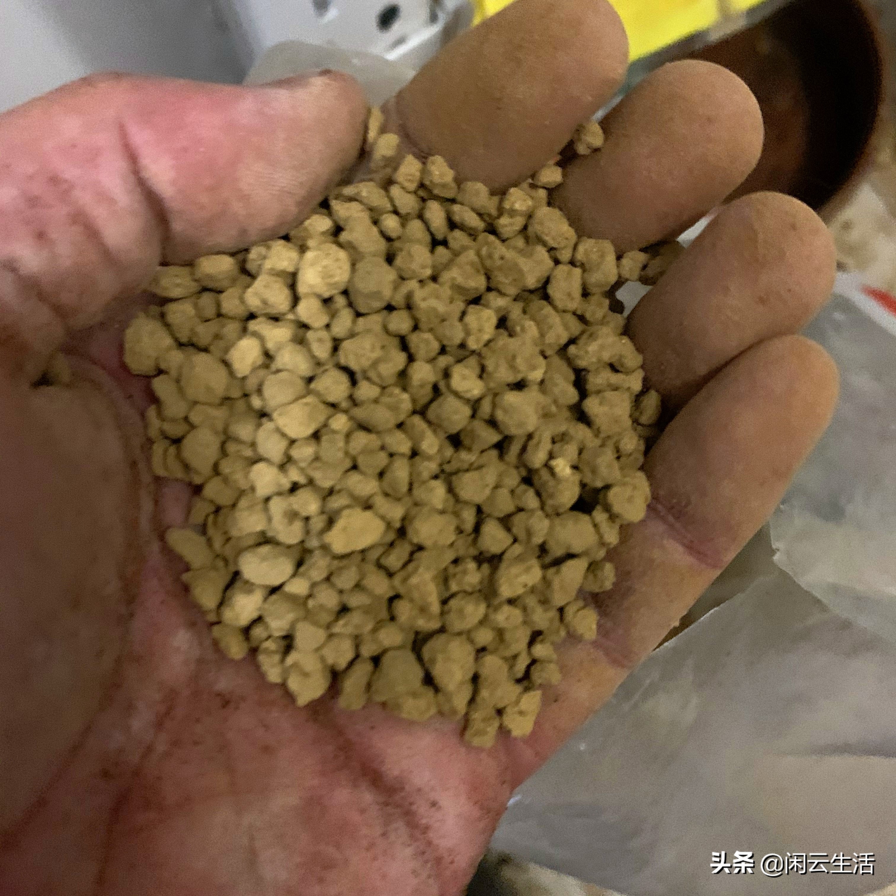 还在买几块钱包邮的营养土吗？快停止吧！——室内植物配土说明