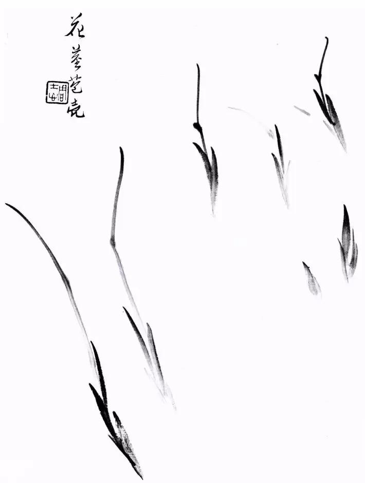 工笔兰花画法步骤详解,兰花的十种画法讲解