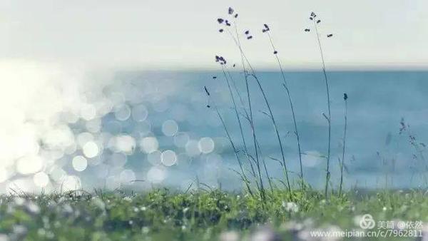 最美的回眸一笑,回眸一笑百态人生