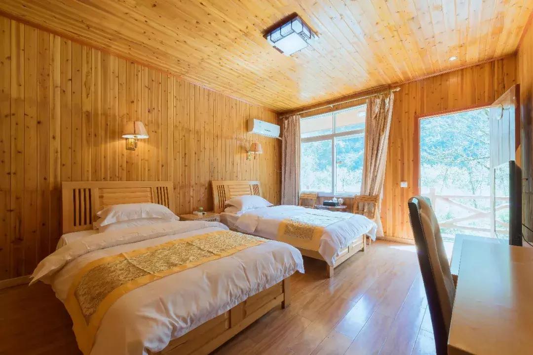 万亩杜鹃花开！邂逅野生水鹿，观云海住树屋，成都自驾3.5h就到！