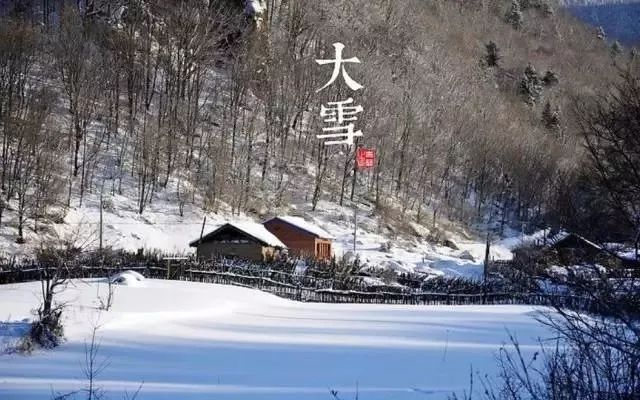 24节气适合喝什么茶,一年最热的节气宜喝什么茶