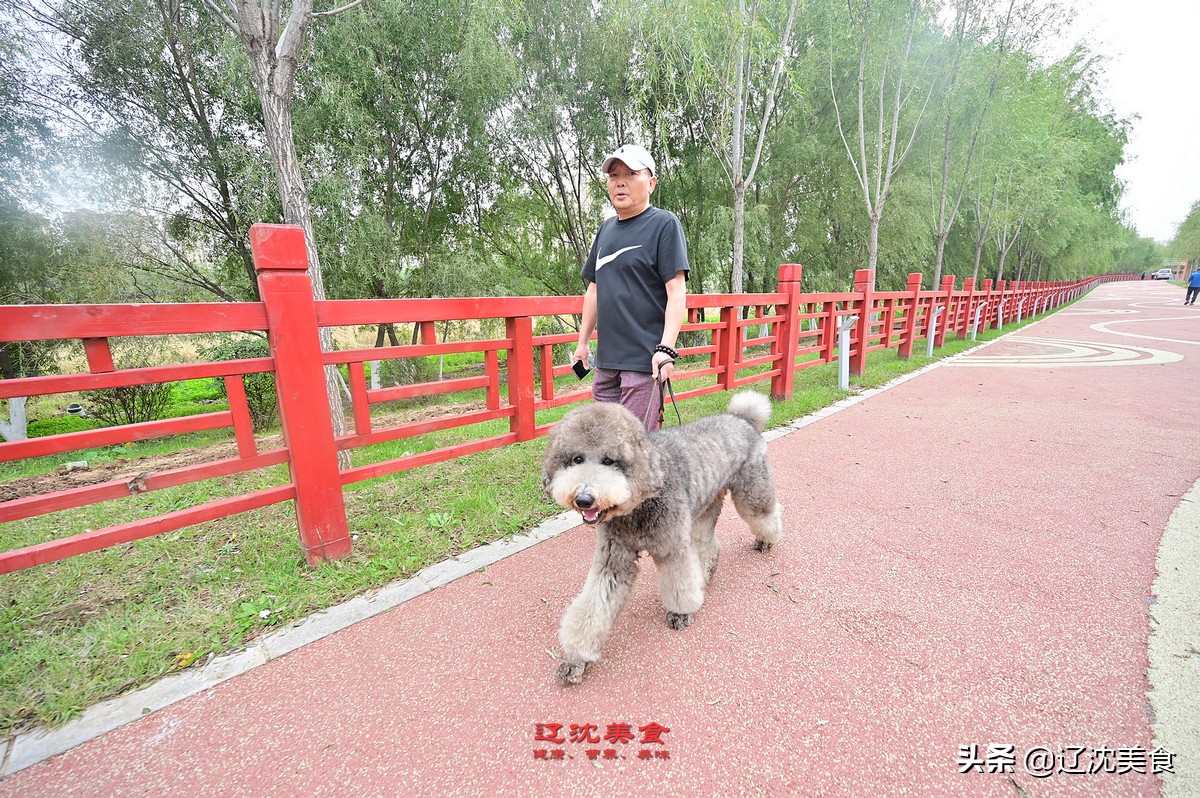 夏季沈阳游攻略必玩的景点,十一期间去沈阳玩一天攻略