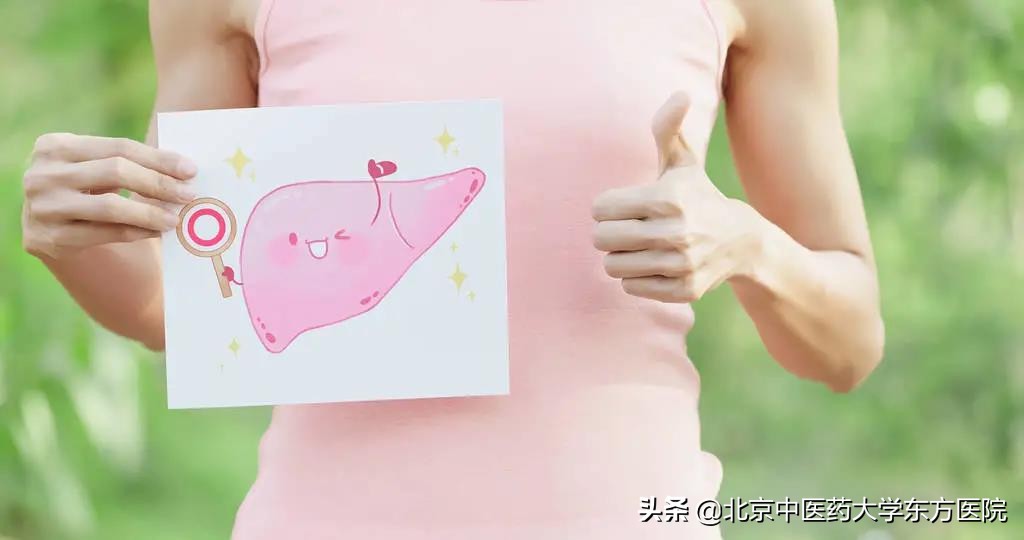 养肝护肝小常识大全,养肝护肝小常识收藏好别丢了