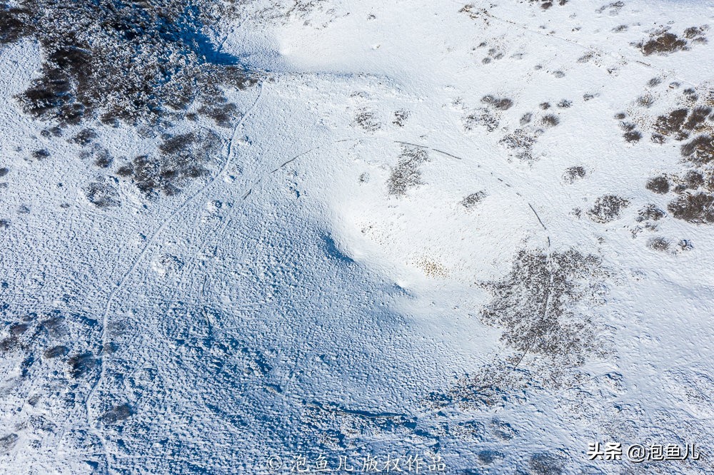 陕西秦岭发现的石头,捡石头下雪了后续