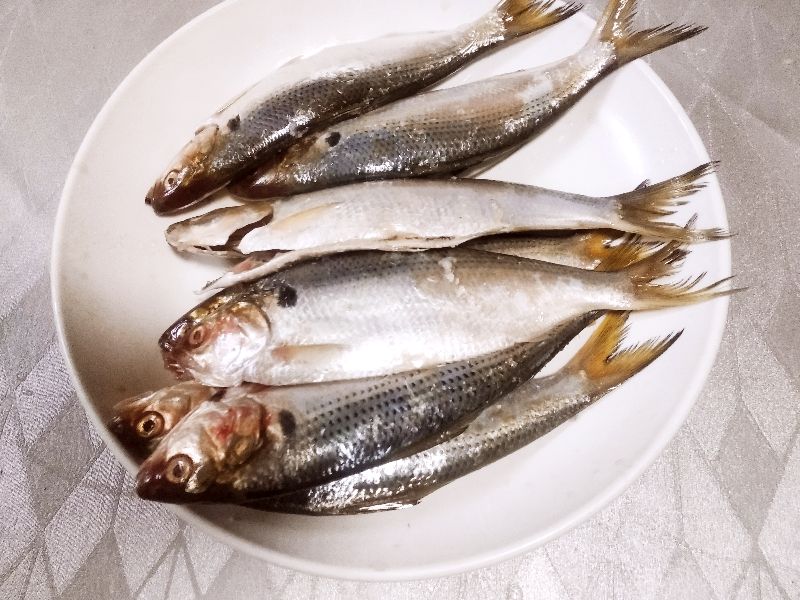 市场上这6种鱼放心购买,市场上卖的鱼哪些是不能养殖的