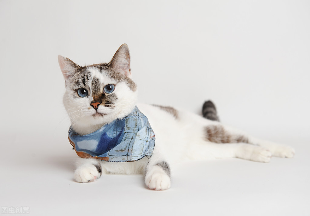 浅谈小学数学课堂有效问题的论文,浅谈小学教育论文范文