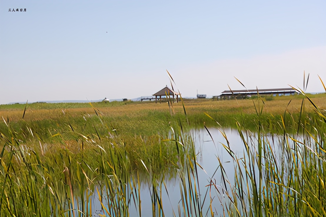 森林公园白鸟湖,乘风湖百鸟乐园