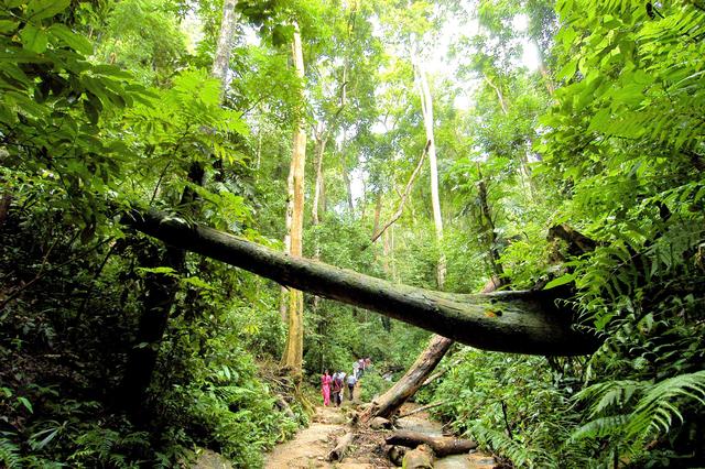 了解西双版纳的风俗和民族文化,西双版纳哈尼族特点民族文化