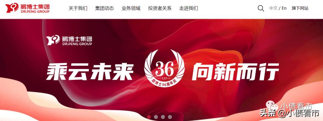 鹏博士海外债违约事项,鹏博士减负债券违约风险