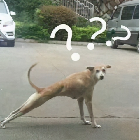 上班族午饭微波炉加热,微波炉解决一日三餐