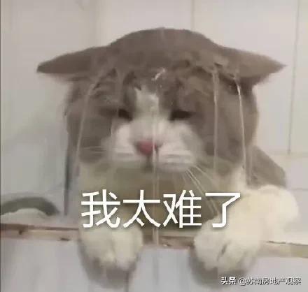 同一个苏州，同一张网红脸