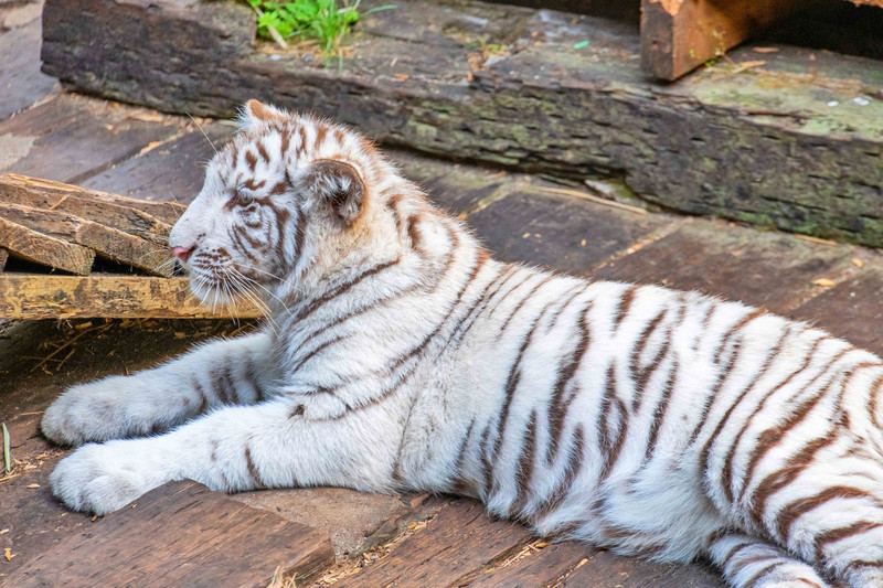 寒假亲子游推荐广东,广东自驾亲子游十大排名