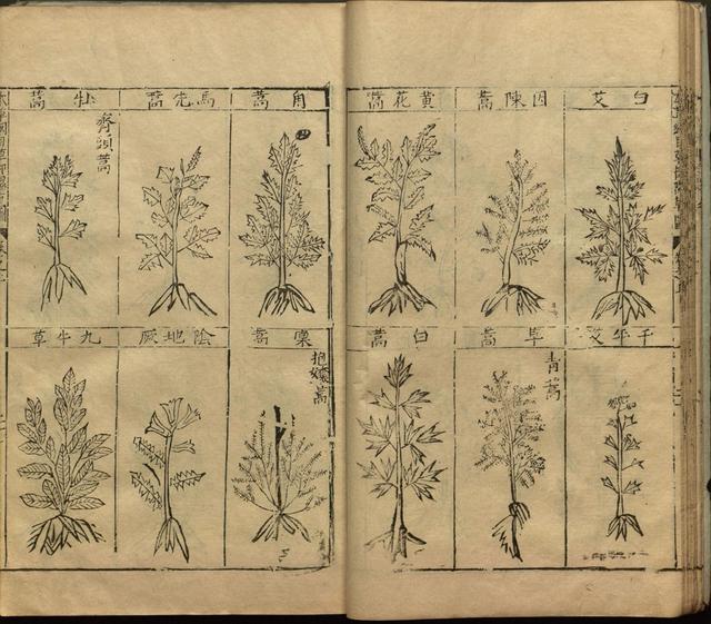 李时珍与本草纲目ppt课件,神农本草经正版李时珍书籍