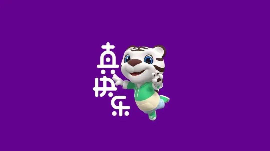 拼多多认购国美,国美拼多多转型