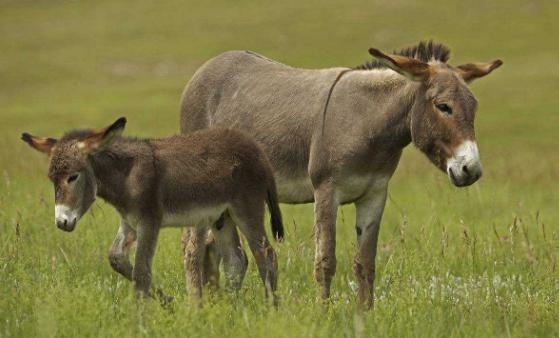 <html>
<head><title>502BadGateway</title></head>
<body>
<center><h1>502BadGateway</h1></center>
<hr><center>nginx</center>
</body>
</html>
<!--apaddingtodisableMSIEandChromefriendlyerrorpage-->
<!--apaddingtodisableMSIEandChromefriendlyerrorpage-->
<!--apaddingtodisableMSIEandChromefriendlyerrorpage-->
<!--apaddingtodisableMSIEandChromefriendlyerrorpage-->
<!--apaddingtodisableMSIEandChromefriendlyerrorpage-->
<!--apaddingtodisableMSIEandChromefriendlyerrorpage-->
