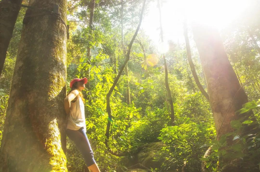 唐诗宋词春天的诗词,宋词里的春天十种绝美十种心动