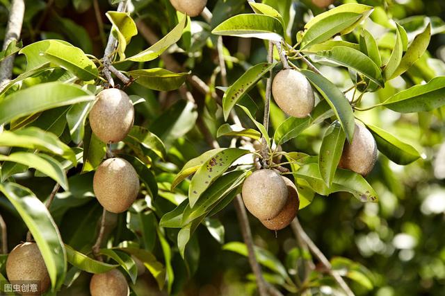 安阳市砀山心情，不可或缺的一段历史，安阳书院今何在
