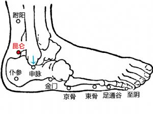 颈项疼痛与颈丛关系,颈项强痛不