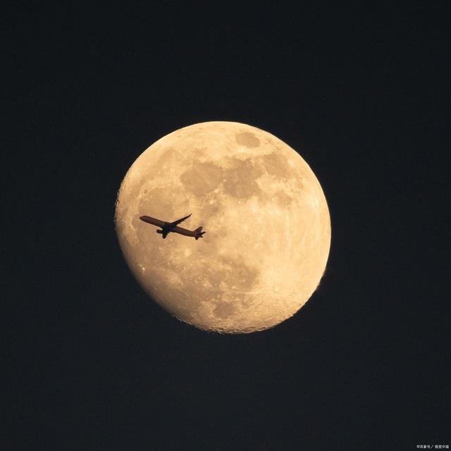 航空货物运输鉴定详解,航空货物运输过程中的注意事项