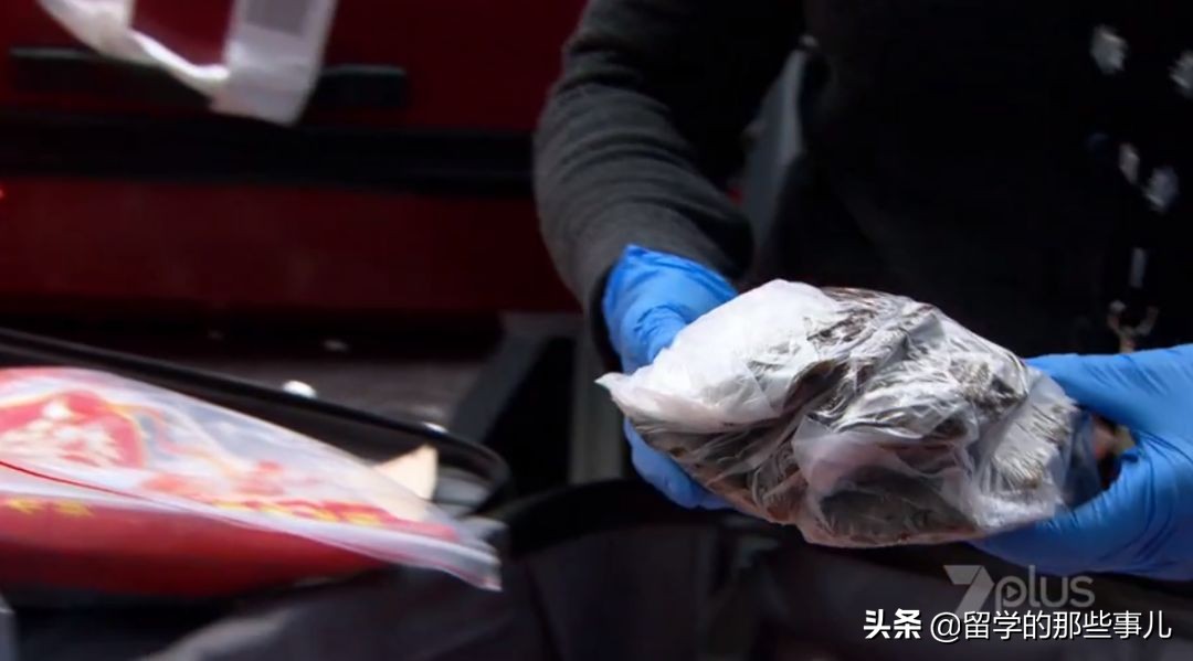 澳洲禁止入境物品最新规定,入境澳洲哪些东西能带哪些是禁带