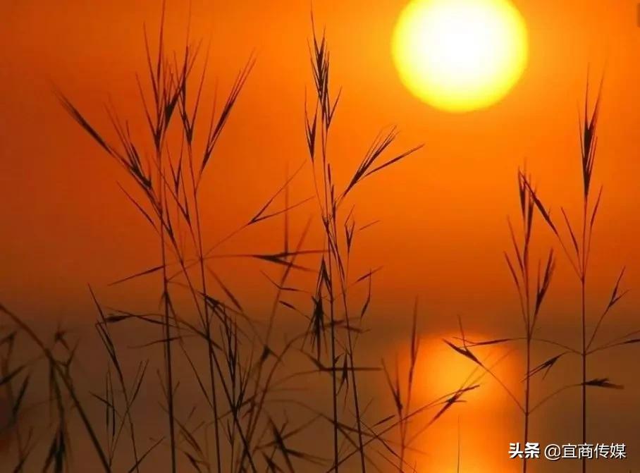 安庆特点地名,安庆地名