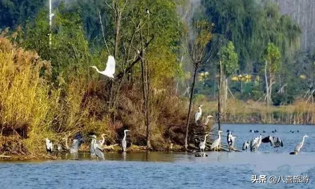 山东夏天值得去的旅游景点,夏天适合去的湖泊