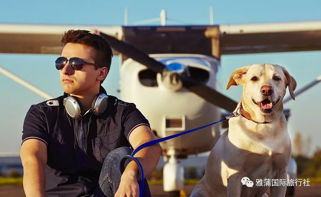 便宜国际机票攻略,廉价机票全攻略