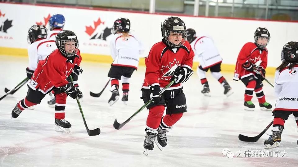 加拿大的价值观,加拿大的价值观是什么